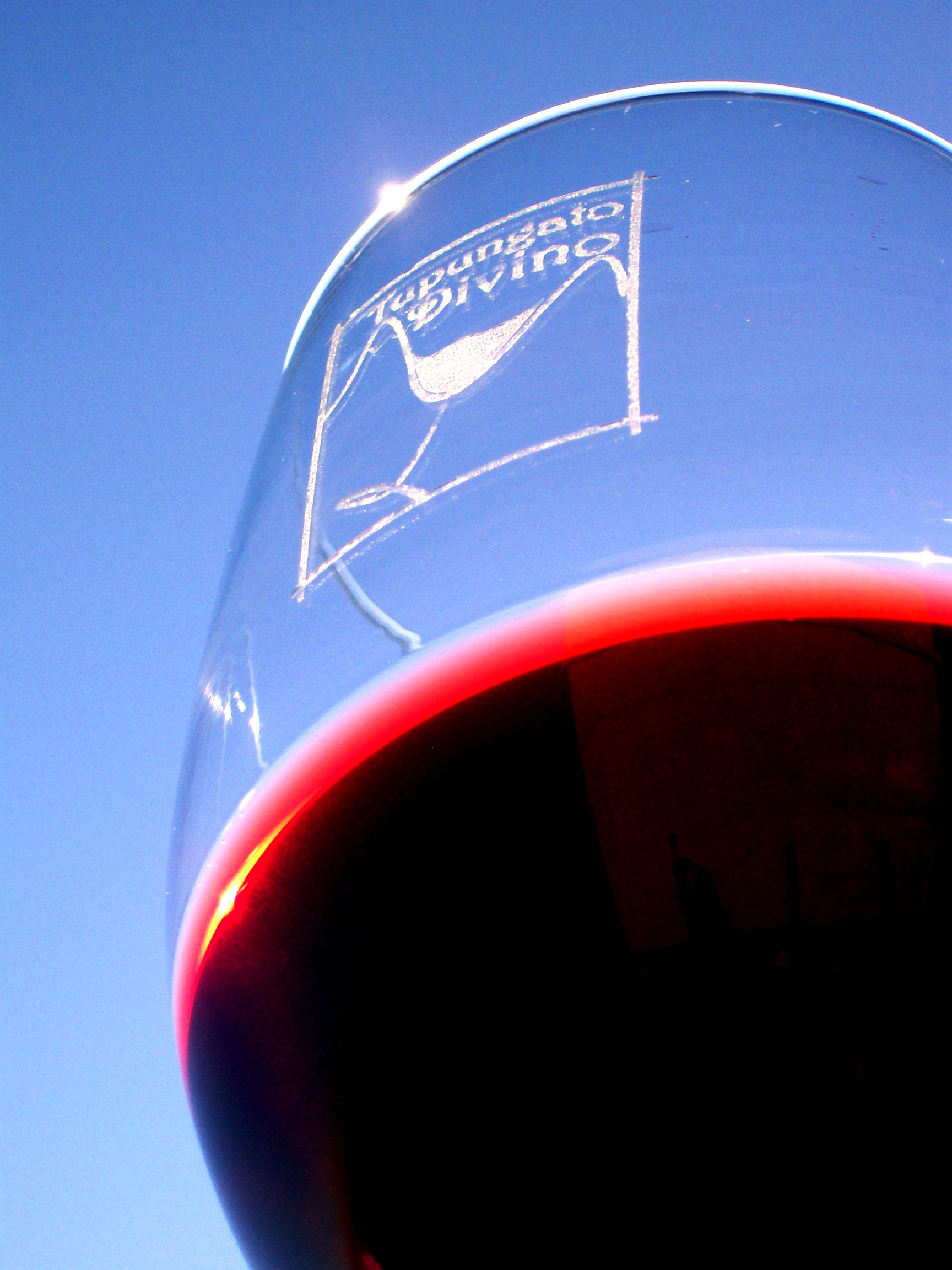 Vinos de Altura